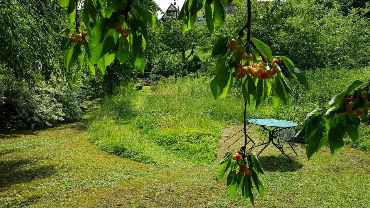 Gite Au Petit Ruisseau-Etage Et Combles-Maison Alsacienne 4 Personnes 4 Nuitees Minimum Langensoultzbach المظهر الخارجي الصورة