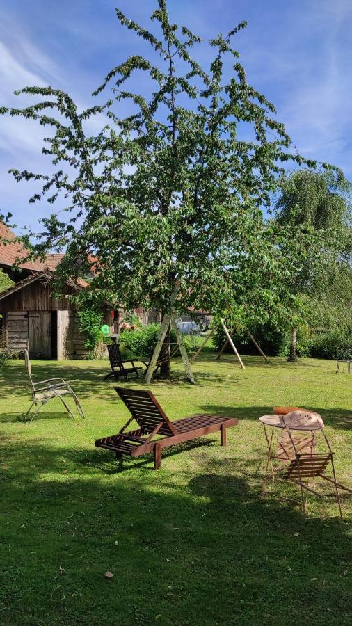Gite Au Petit Ruisseau-Etage Et Combles-Maison Alsacienne 4 Personnes 4 Nuitees Minimum Langensoultzbach المظهر الخارجي الصورة