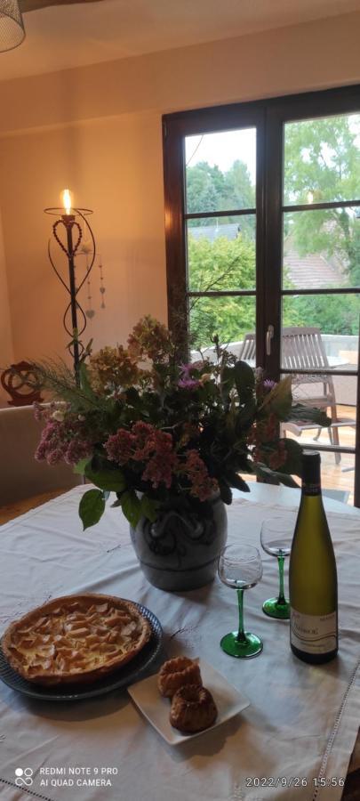 Gite Au Petit Ruisseau-Etage Et Combles-Maison Alsacienne 4 Personnes 4 Nuitees Minimum Langensoultzbach المظهر الخارجي الصورة