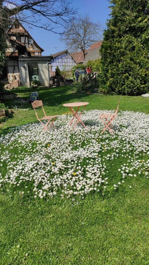 Gite Au Petit Ruisseau-Etage Et Combles-Maison Alsacienne 4 Personnes 4 Nuitees Minimum Langensoultzbach المظهر الخارجي الصورة