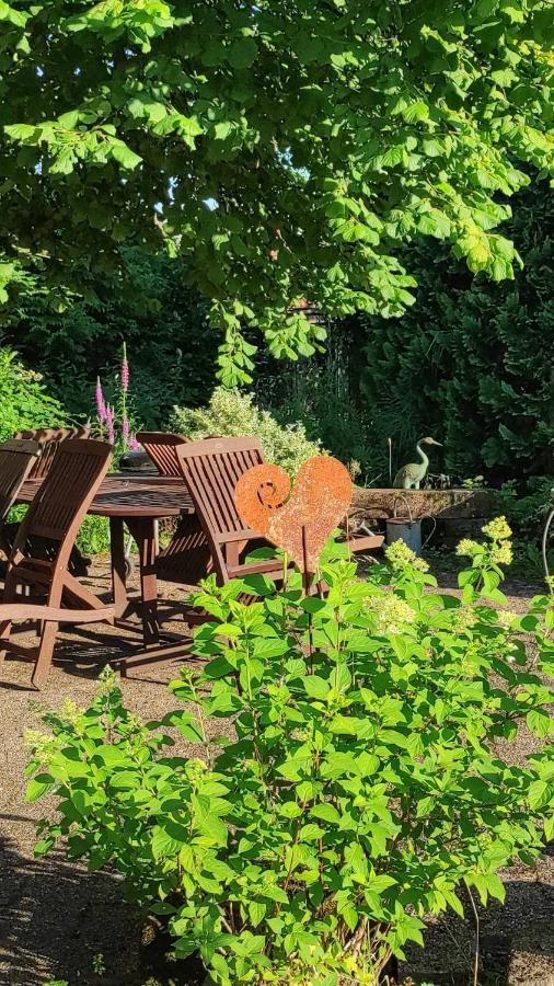 Gite Au Petit Ruisseau-Etage Et Combles-Maison Alsacienne 4 Personnes 4 Nuitees Minimum Langensoultzbach المظهر الخارجي الصورة